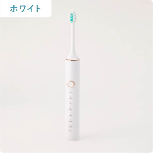 Dentaly 電動歯ブラシ ３３０円 サブスク